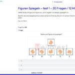 Einstellungstest Spiegeln üben