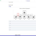 Einstellungstest Spiegeln üben