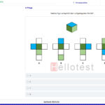 Einstellungstest Würfel üben