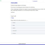 Einstellungstest Cubiks üben