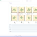 Einstellungstest TestGorilla üben