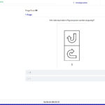 Einstellungstest Thomas International üben